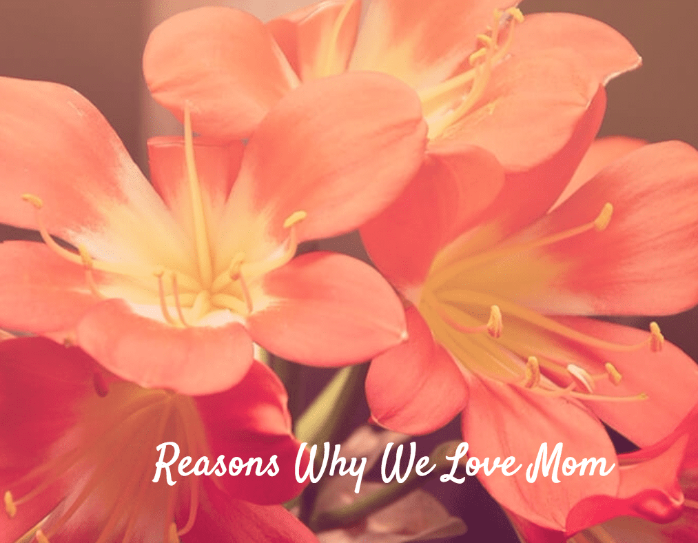 Why We Love Mom - This fun INFOGRAPHIC clearly illustrates what we love about our moms.