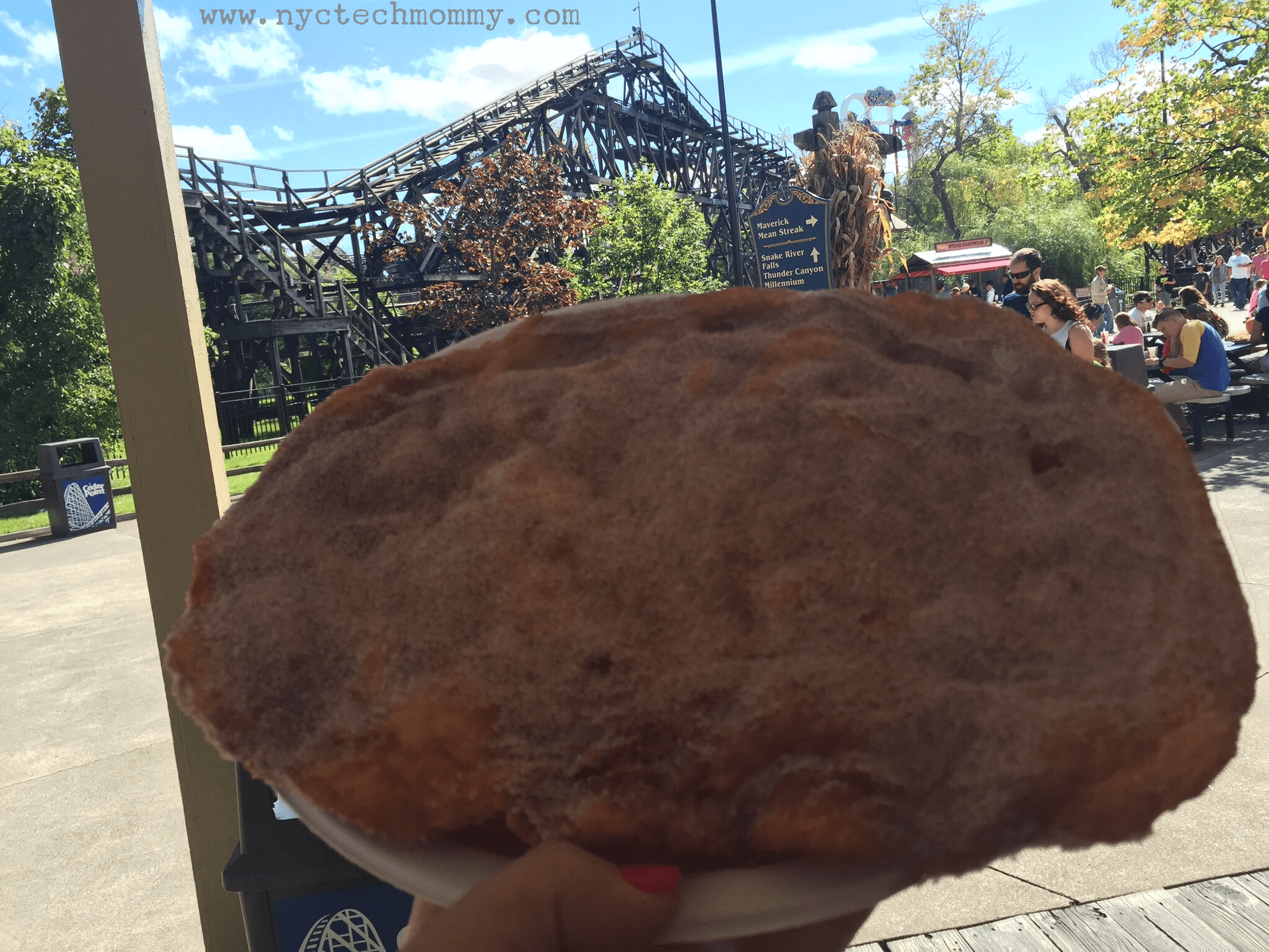 Favorite Cedar Point Snacks - Elephant Ears with sweet cinnamon sugar