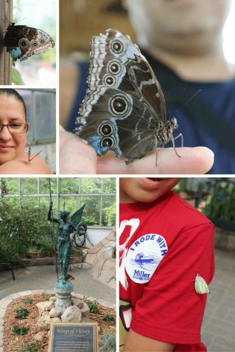 Butterfly House