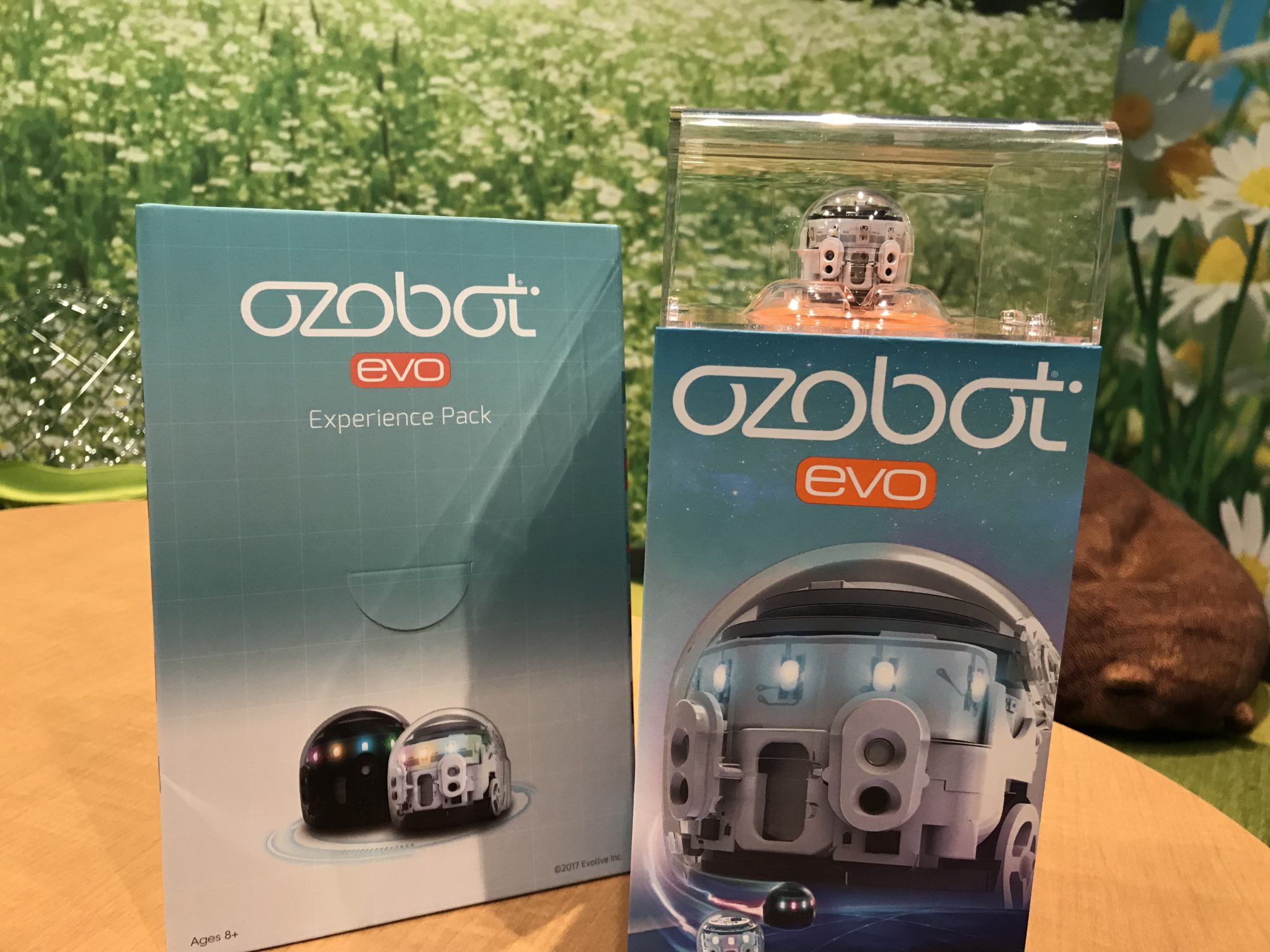Ozobot Evo Coding Robot Unboxing