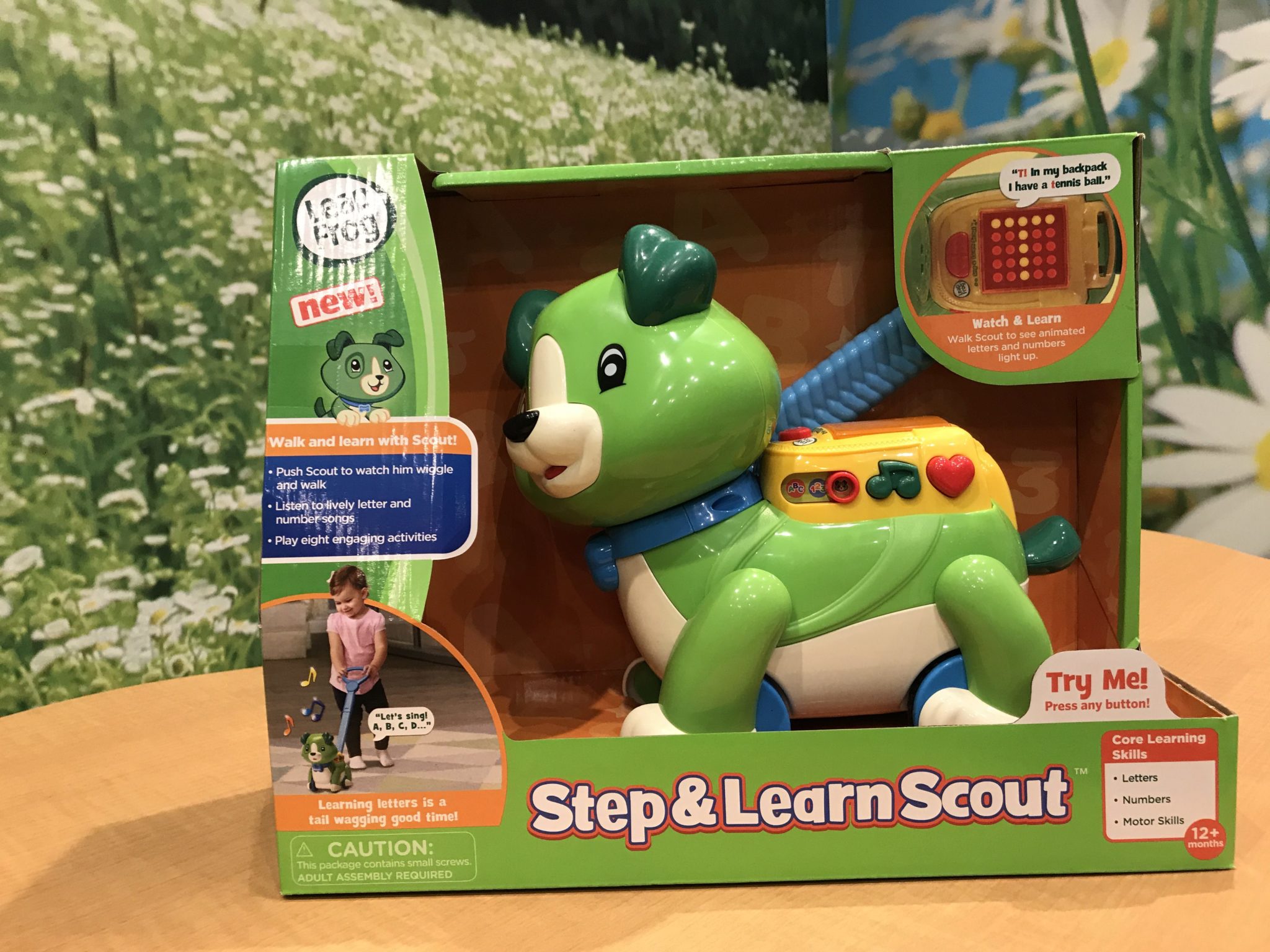 Step and Learn Scout