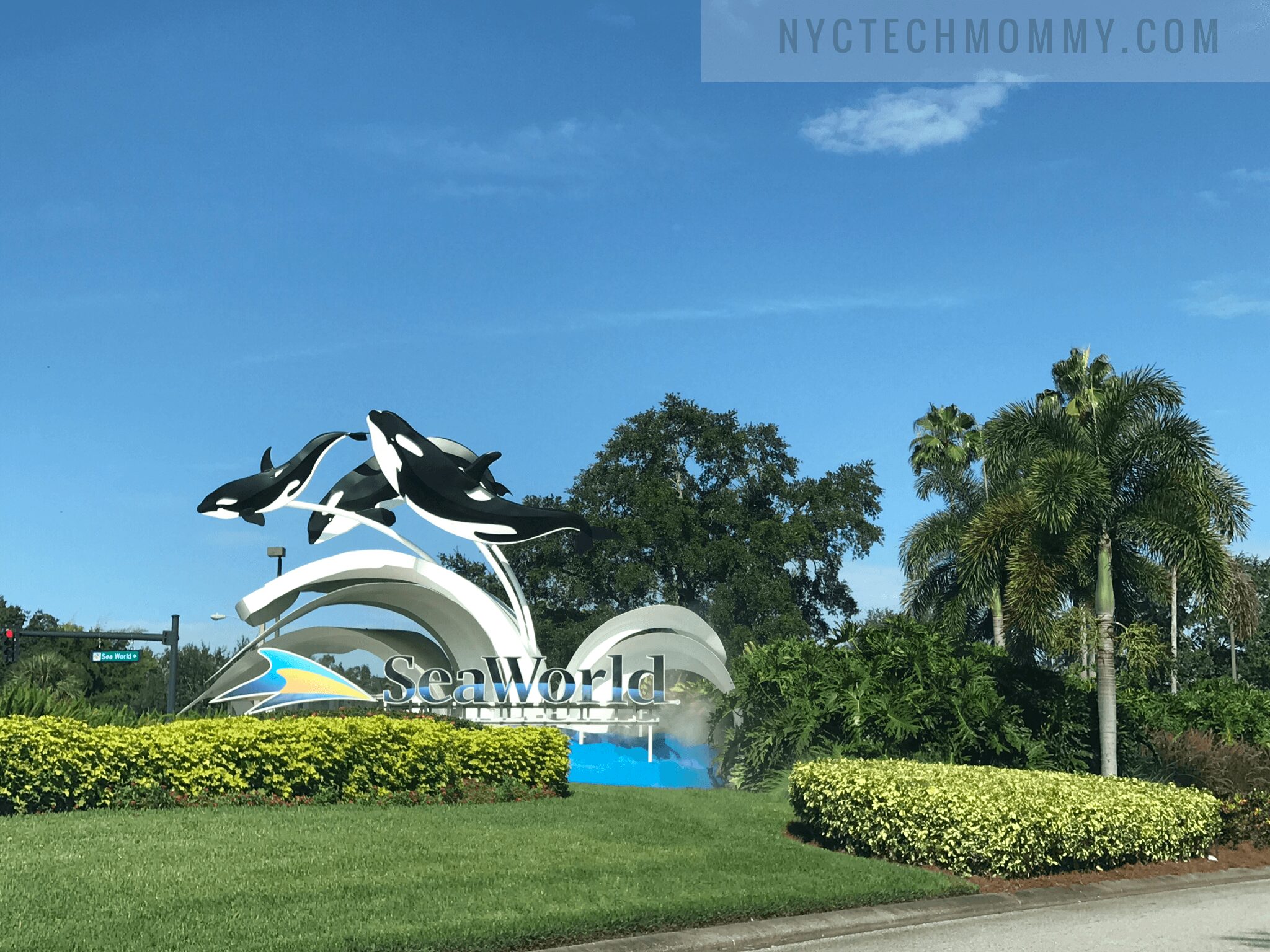 Visiting Sea World Orlando