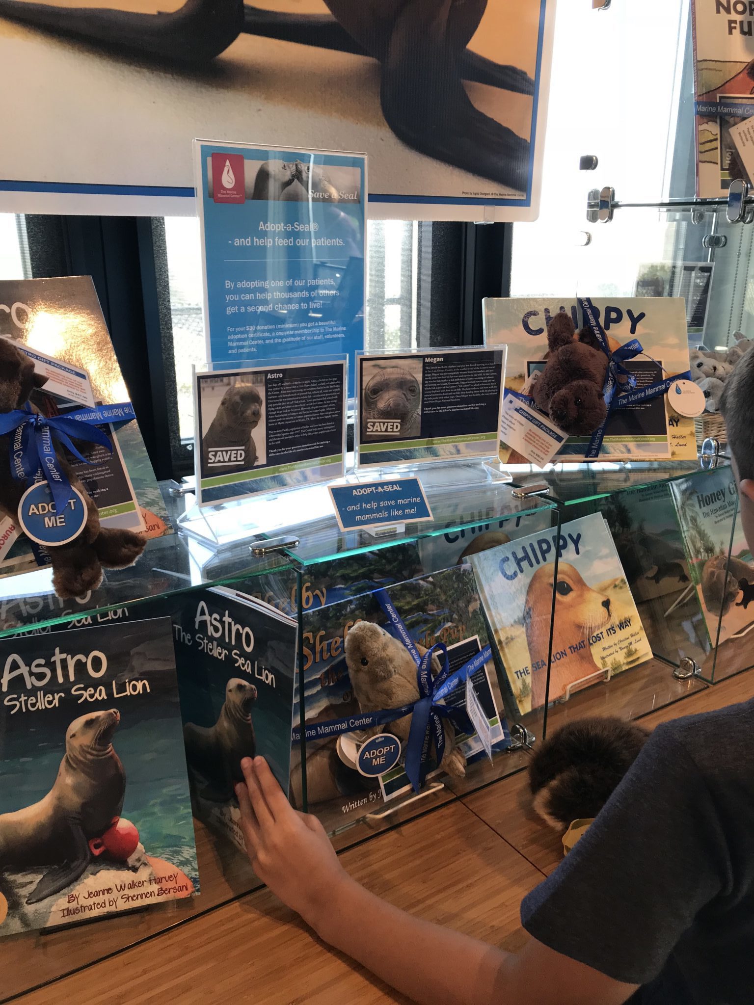 Our visit to the Marine Mammal Center 