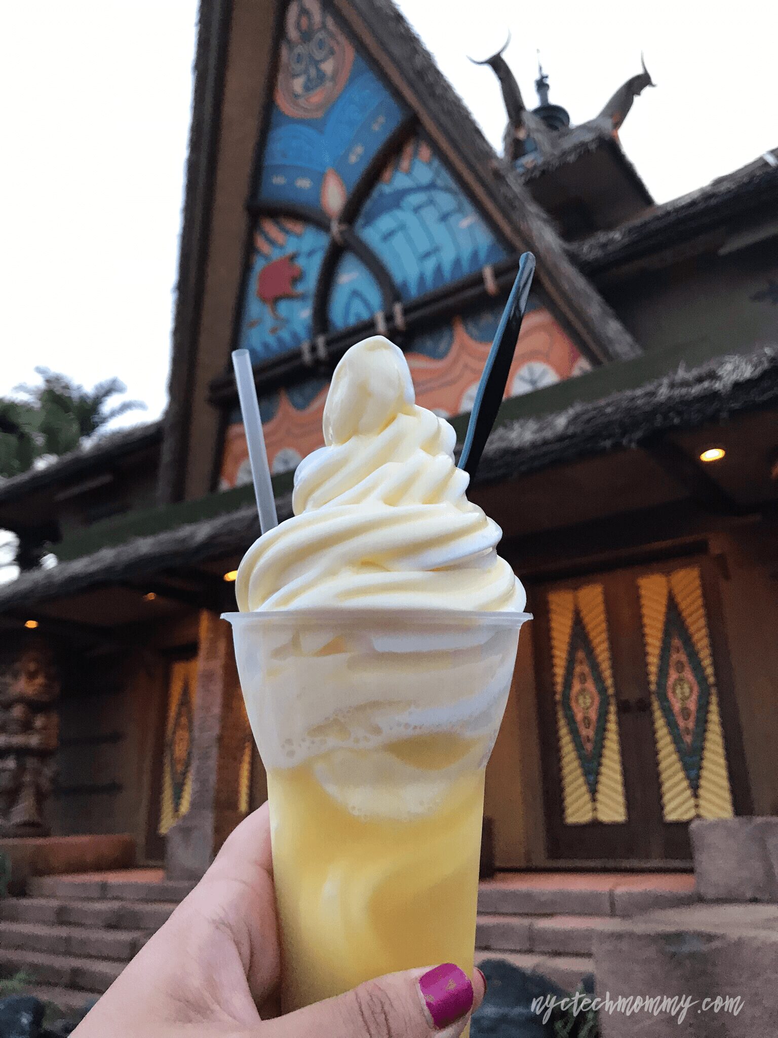 Dole Whip at Disney World