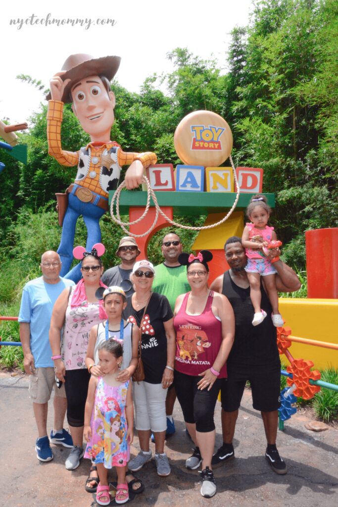 Toy Story Land