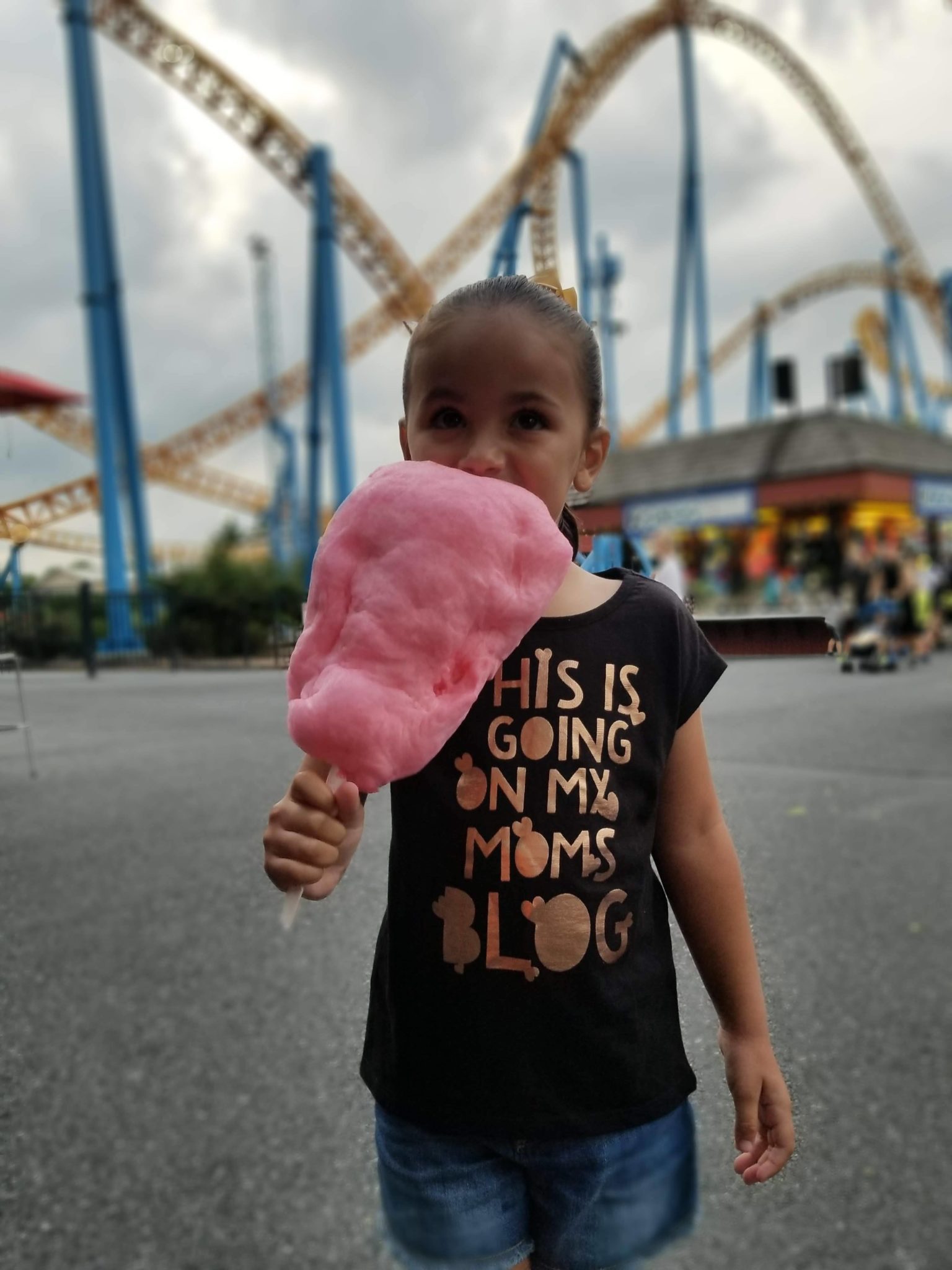 Cotton Candy at Hershey Park