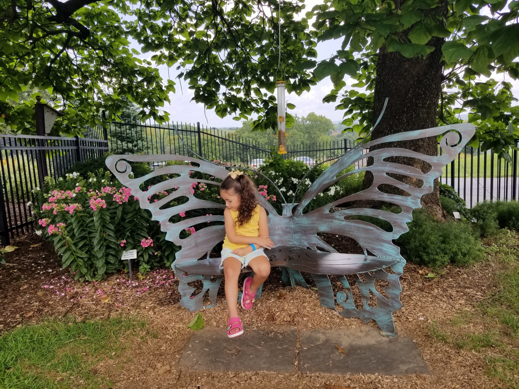 Hershey Gardens Butterfly