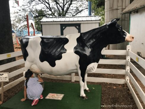 Dutch Wonderland Family Fun 