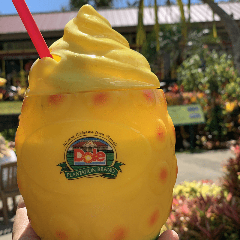 Visiting the Dole Plantation with Kids
