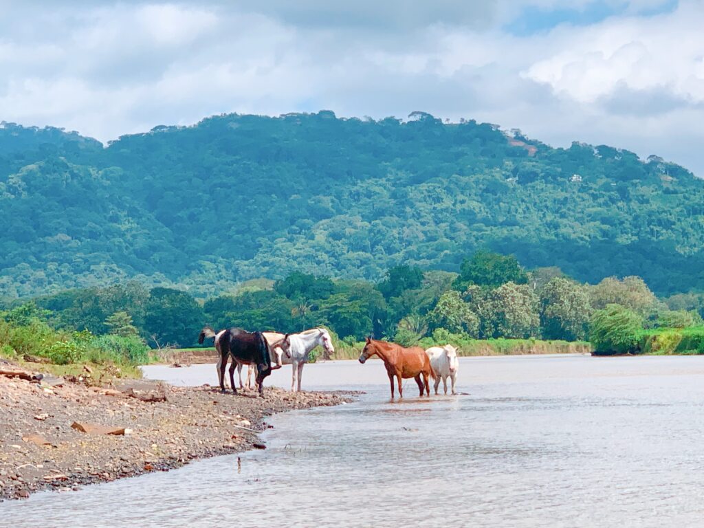 Family Vacation in Costa Rica