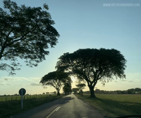 Uruguay with kids - take a road trip through the countryside - Reasons why Uruguay needs to be on your travel bucket list 