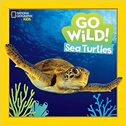 Book gift ideas for kids that love turtles