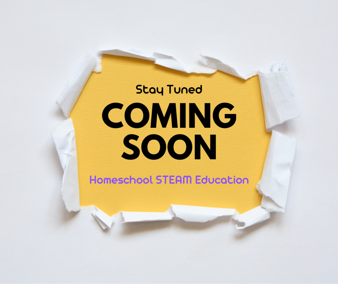 Monica Encarnacion - 2024 Tiny Fellow - Homeschool STEAM Education