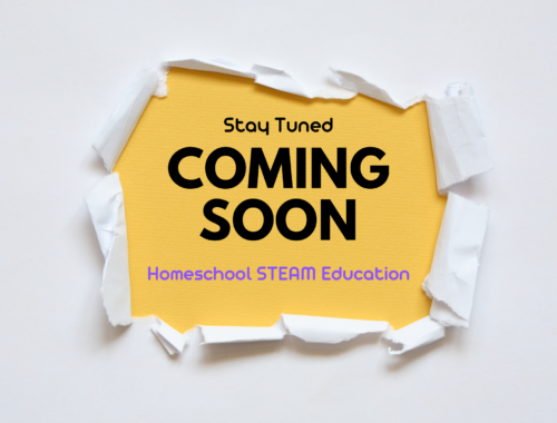 Monica Encarnacion - 2024 Tiny Fellow - Homeschool STEAM Education